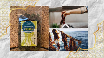 Algen aus der Bretagne online kaufen – ideal für Küche & Ernährung