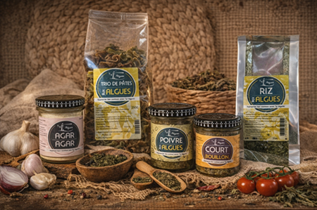 Algen aus der Bretagne online kaufen – ideal für Küche & Ernährung