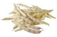 Detailaufnahme von Coco de Paimpol Bohnen, Bretagne Allerlei