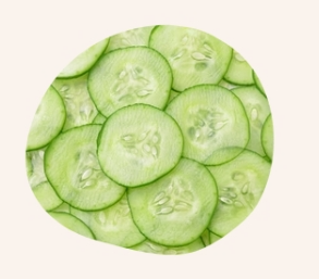 Gurkenextrakt, präsentiert von Endro in der Bretagne (BZH), Frankreich