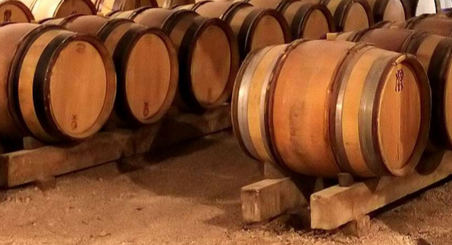 Blühende Apfelplantage in der Bretagne für Cidre-Produktion