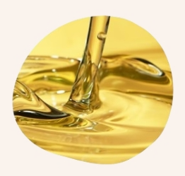 Sonnenblumenöl - Bretagne - Endro