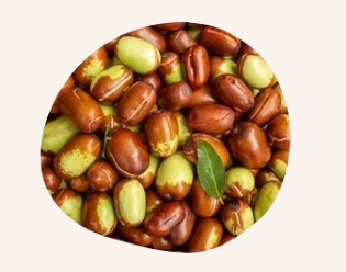 Detailaufnahme der Noni-Frucht in Scheiben