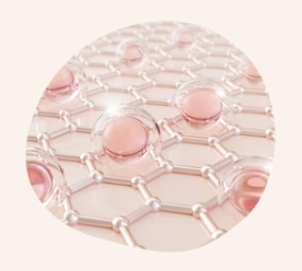 Kollagen - Bretgane - Endro