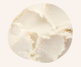 Kollagen Nahaufnahme