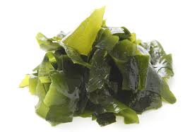 Frische Wakame-Algen in Schale