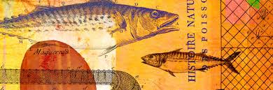 Detailaufnahme von Poisson d'Ouest