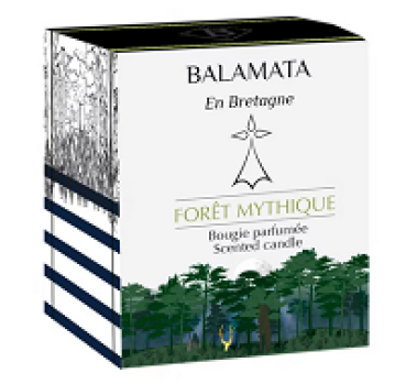 Duftkerze Mythischer Wald – inspiriert von Brocéliande