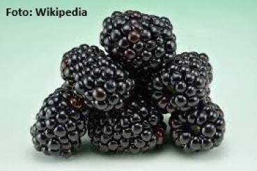 Preview: Handwerklich hergestellte Brombeerkonfitüre eines familiengeführten Unternehmens