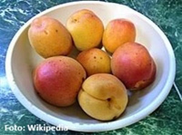 Traditionelle Marmeladenherstellung im Kupferkessel über offenem Feuer